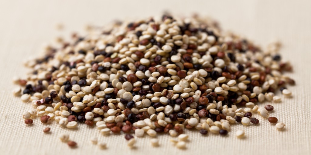 quinoa-komosa-ryzowa