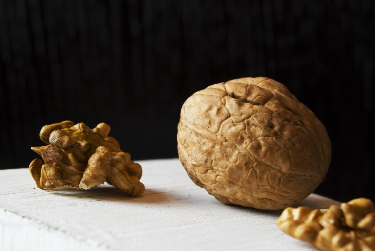 food-walnut-nut